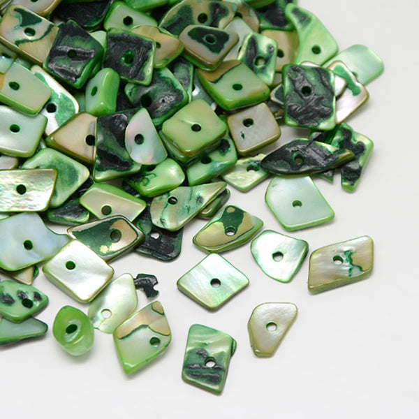 Dyed Natural Spiral Shell Chips Beads